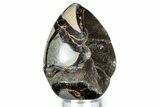 Septarian Dragon Egg Geode - Sparkly Black Crystals #343862-1